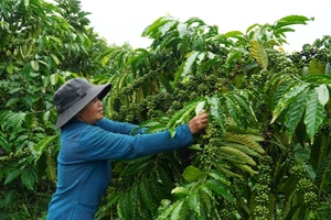 Nhiều địa phương của tỉnh Lâm Đồng triển khai hiệu quả Chương trình mục tiêu quốc gia nâng cao đời sống nhân dân.