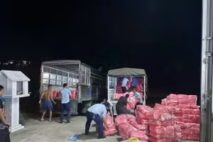 Tang vật bị thu giữ tại hiện trường. Ảnh: TG