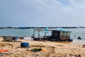 Lồng nuôi hải sản của người dân Phú Quý bị sóng phá hủy.