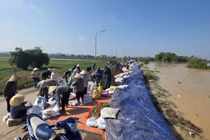 Hàng nghìn người dân cùng lực lượng chức năng khẩn trương gia cố tuyến đê Đẩu Hàn (phường Kinh Bắc, tỉnh Bắc Ninh) nhằm ứng phó với tình trạng nước sông Cầu dâng cao.