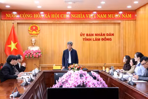 Phó Chủ tịch UBND tỉnh Nguyễn Minh chủ trì họp nghe báo cáo phương thức tuyển sinh phổ thông dân tộc nội trú (DTNT), tuyển sinh lớp 10 trung học phổ thông (THPT) năm học 2026-2027 trên địa bàn tỉnh Lâm Đồng.