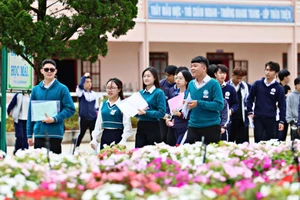 2.900 học sinh Lâm Đồng đoạt giải trong Kỳ thi chọn HSG cấp tỉnh THPT năm học 2025-2026.