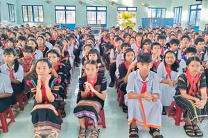 Các trường có điều kiện thuận lợi sẽ giúp đỡ các trường còn khó khăn.