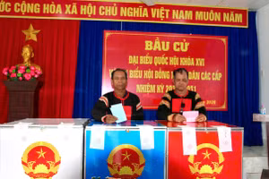 Cử tri là đồng bào dân tộc thiểu số tại xã Trung Khánh Vĩnh, tỉnh Khánh Hòa tham gia bỏ phiếu.