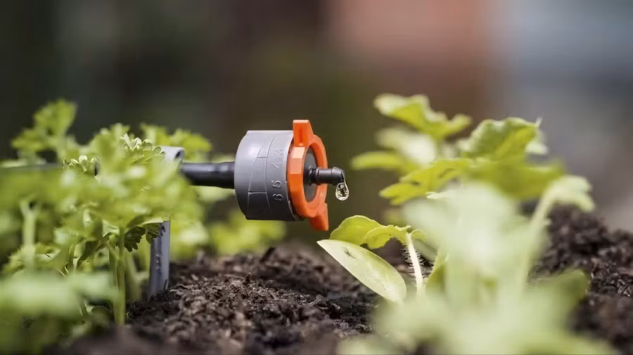 Công nghệ tưới nhỏ giọt giúp tiết kiệm nước. (Ảnh: IT)