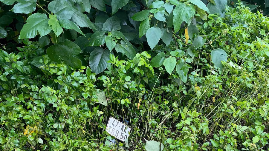 Hiện trường nơi xảy ra vụ việc.