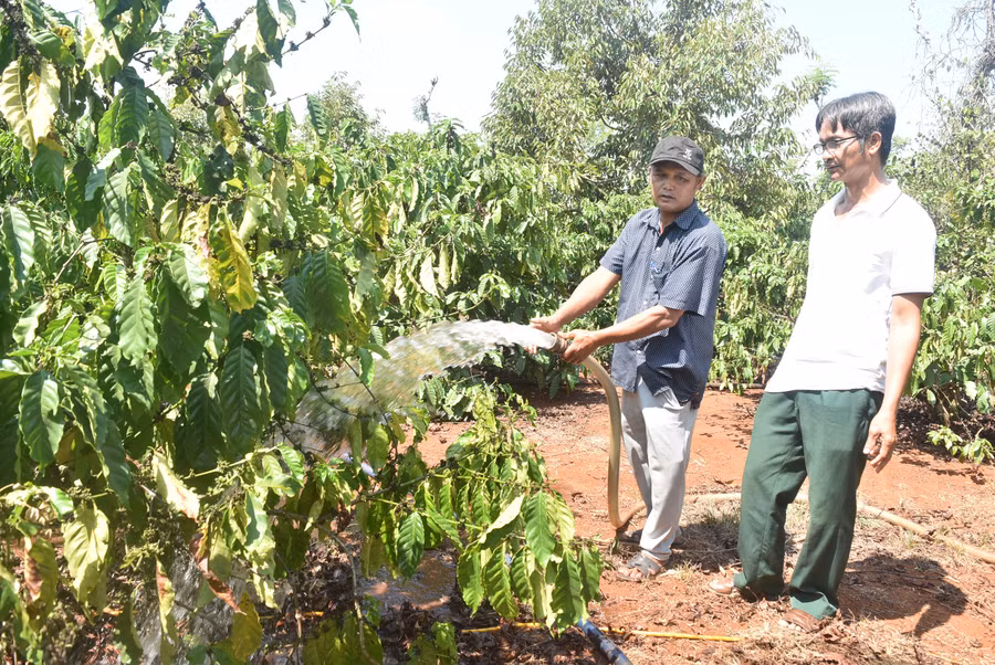 Ông Y Tuyên Bkrông chia sẻ quy trình chăm sóc cây cà phê với bà con nông dân (Anh: NA)