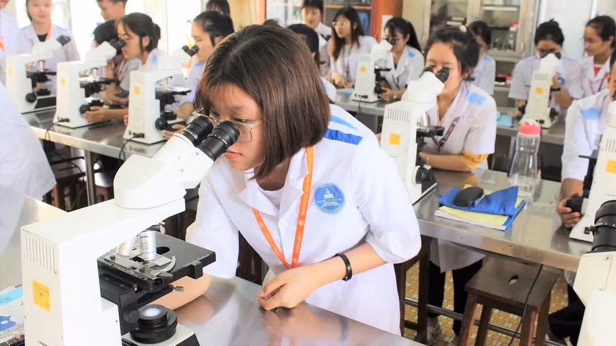 Sinh viên Trường Đại học Tây Nguyên tích cực nghiên cứu khoa học. (Ảnh: TT)