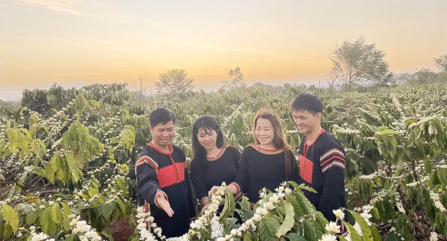 Niềm vui của người dân Đắk Lắk trước thềm Lễ hội cà phê Buôn Ma Thuột lần thứ 9. (Ảnh: PN).