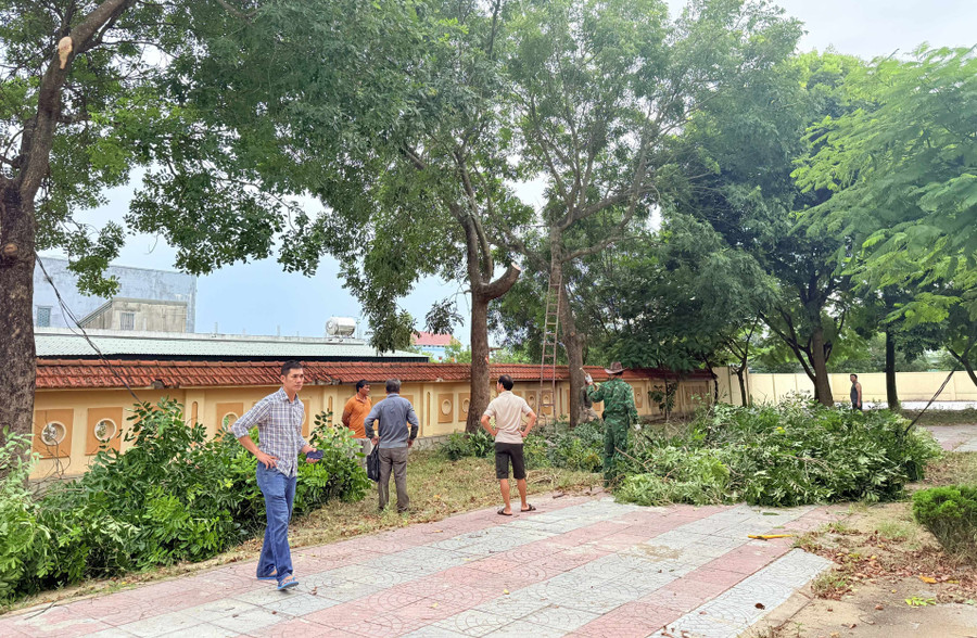 Trường THPT Ngô Quyền (Quảng Trị) cắt tỉa cây xanh, đảm bảo an toàn mùa mưa bão.