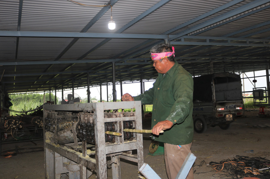 Ông Khôi tỉ mỉ làm sạch lớp vỏ bên ngoài để mía khi mang bán được giá hơn. 15.jpg
