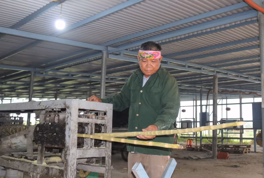 Cựu chiến binh Nguyễn Văn Khôi thu tiền tỷ mỗi năm nhờ trồng mía, làm điện mặt trời.