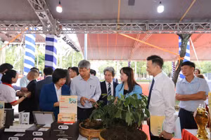 Các đại biểu tham quan gian hàng Triển lãm Thành tựu Khoa học – Công nghệ và Sản phẩm khởi nghiệp tại UED.