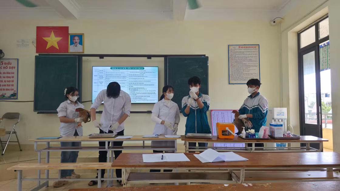Học viên Trung tâm GDNN-GDTX Đông Hưng, Hưng Yên trong giờ học thực hành sơ cấp nghề Thú y.