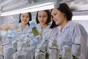 Trường Đại học Sư phạm (ĐH Thái Nguyên) chính thức triển khai chương trình đào tạo ngành Sinh học theo hướng ứng dụng gắn với thực tiễn và hội nhập quốc tế.