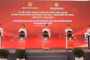 Các đại biểu nhấn nút khởi công dự án.