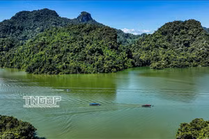 Khi hai mặt nước soi chung bầu trời.