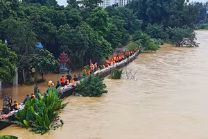Lực lượng chức năng nỗ lực gia cố đê.