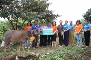 Trao sinh kế không chỉ là hỗ trợ vật chất, mà còn tiếp thêm động lực để phụ nữ dân tộc thiểu số vượt qua khó khăn.