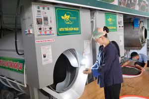Học viên sau khi hoàn thành khóa học đã mạnh dạn áp dụng kiến thức vào phát triển kinh tế gia đình hoặc tìm được việc làm ổn định tại các doanh nghiệp trong và ngoài tỉnh.
