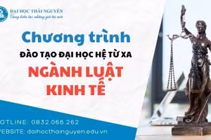 Ngành luật Kinh tế đào tạo từ xa giúp người học linh hoạt, chủ động về thời gian.