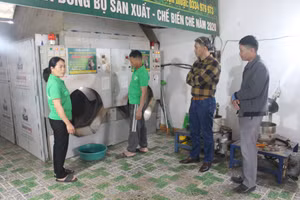 HTX chè Hải Yến được thành lập từ năm 2018 với 7 thành viên ban đầu.