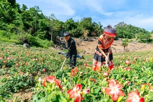 Phát huy vai trò người có uy tín trong vùng đồng bào dân tộc thiểu số ở Thái Nguyên