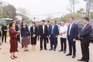 Các đại biểu khảo sát thực tế.