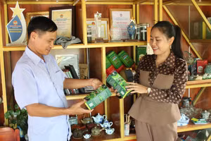 Đời sống người dân được cải thiện nhờ phát triển cây chè.