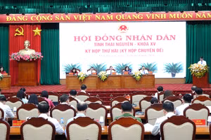 Quang cảnh kỳ họp.