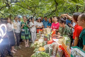 Thái Nguyên khai trương gian hàng sản phẩm trên sàn Shopee.
