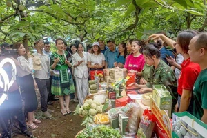 Thái Nguyên khai trương gian hàng sản phẩm trên sàn Shopee.