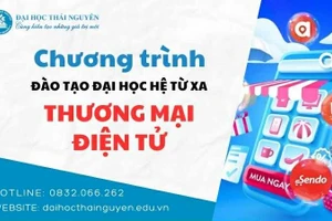 Chương trình Đào tạo Đại học hệ từ xa Thương mại điện tử.