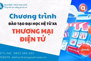 Chương trình Đào tạo Đại học hệ từ xa Thương mại điện tử.