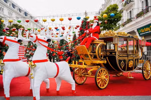 Danko City rộn ràng không khí Giáng sinh với vườn thông khổng lồ đẹp như cổ tích.