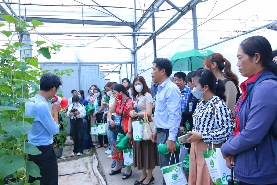 Tận dụng nguồn lực - Ảnh 1.JPG