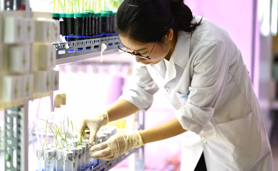 Sinh viên Trường Đại học Khoa học và Công nghệ Hà Nội.