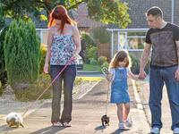 Cặp đôi ngủ chung giường với rắn, chồn hôi 3