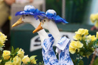 Cuộc thi thời trang dành cho ‘người mẫu vịt’ ảnh 2 Cuộc thi thời trang dành cho ‘người mẫu vịt’ ảnh 2