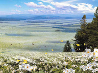 Giao diện máy tính ở Triều Tiên trông như thế nào? ảnh 12