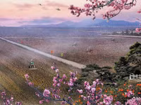 Giao diện máy tính ở Triều Tiên trông như thế nào? ảnh 14 Giao diện máy tính ở Triều Tiên trông như thế nào? ảnh 14