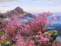 Giao diện máy tính ở Triều Tiên trông như thế nào? ảnh 13 Giao diện máy tính ở Triều Tiên trông như thế nào? ảnh 13