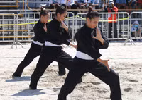 Những màn biễu diễn ấn tượng của đội tuyển Pencak silat Việt Nam ảnh 5