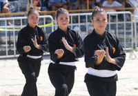 Những màn biễu diễn ấn tượng của đội tuyển Pencak silat Việt Nam ảnh 1 Những màn biễu diễn ấn tượng của đội tuyển Pencak silat Việt Nam ảnh 1