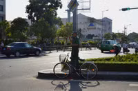 Tận dụng mọi bóng râm có thể