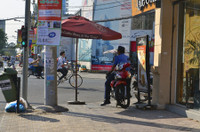 Tận dụng mọi bóng râm có thể