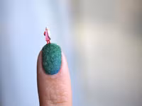 Bộ móng tay phong cảnh đồng quê ảnh 6 Bộ móng tay tinh xảo