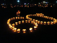 Sinh viên Huế hưởng ứng giờ trái đất ảnh 1