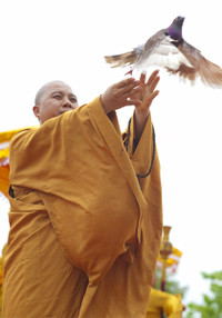 Đại lễ Phật đản Vesak 2014: Kính cẩn nghi thức Tắm Phật ảnh 11 Đại lễ Phật đản Vesak 2014: Kính cẩn nghi thức Tắm Phật ảnh 11