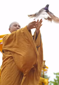 Đại lễ Phật đản Vesak 2014: Kính cẩn nghi thức Tắm Phật ảnh 11